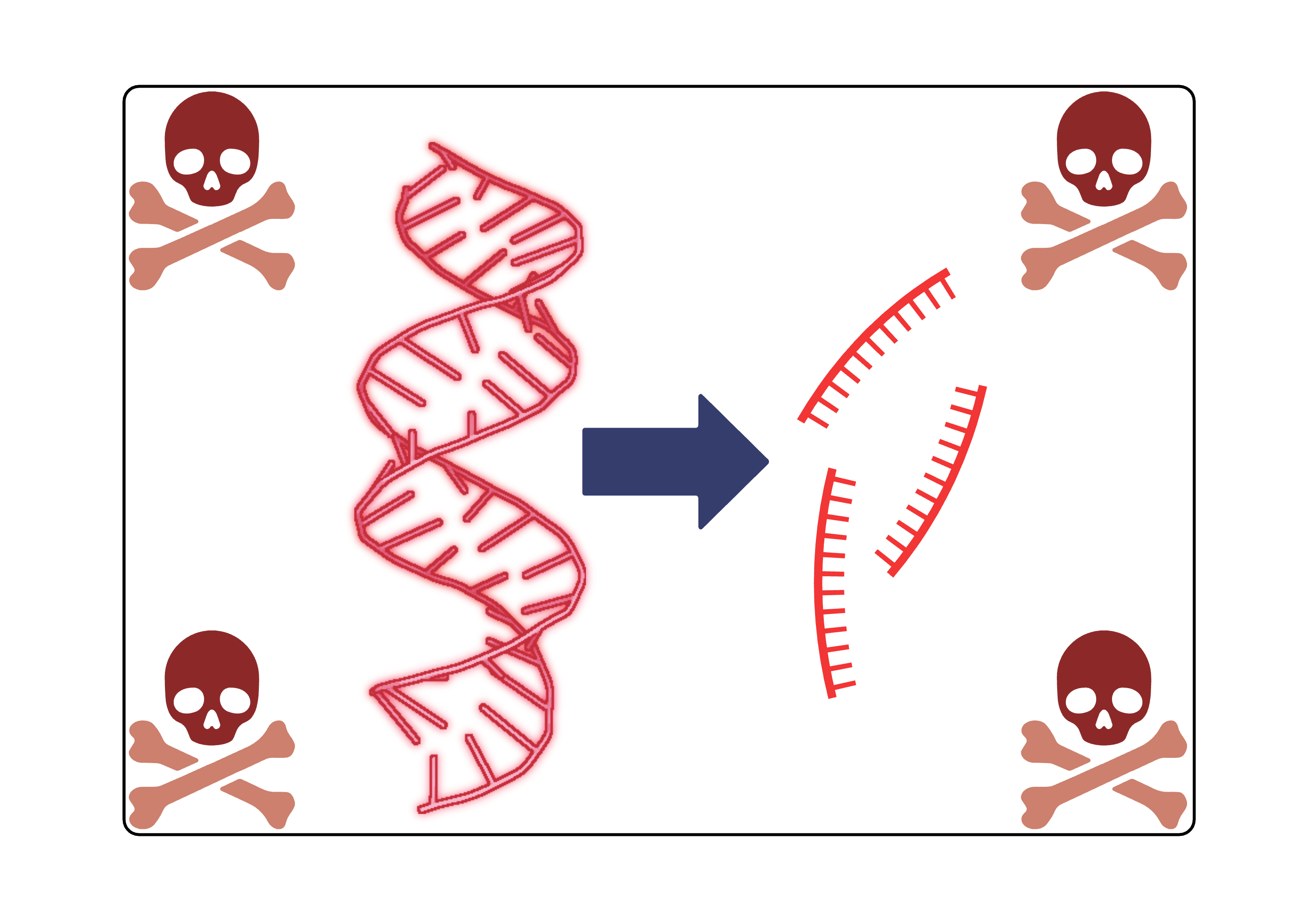 Efficient dsRNA Designer