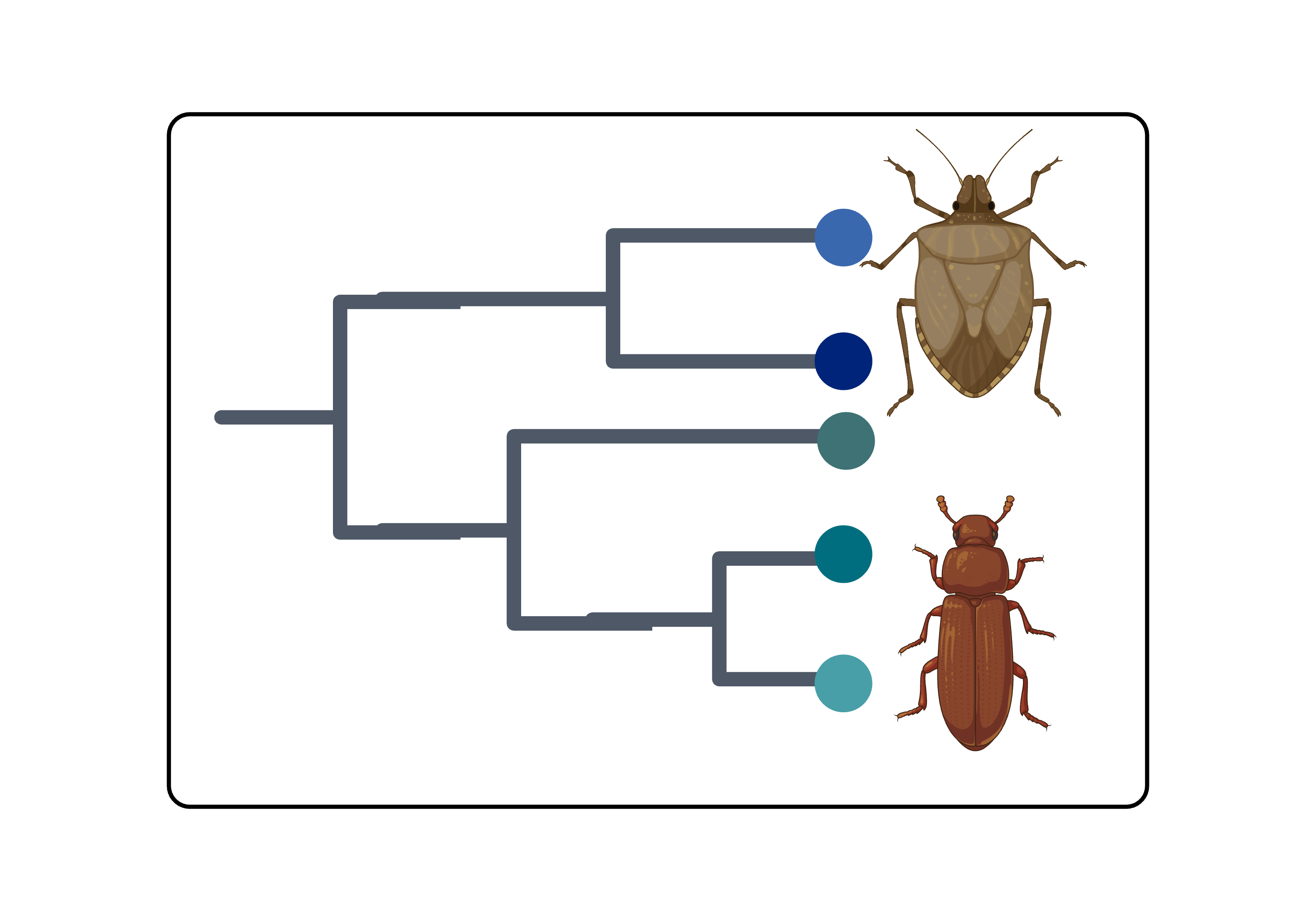 Orthology Inference (New Species)